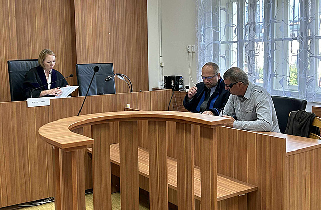 Bál jsem se o děti, hájí se muž souzený za zapálení bazénu při likvidaci sršní