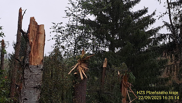 Při pádu letadla na Plzeňsku zemřel jen 76letý pilot, příčiny nehody jsou zatím nejasné