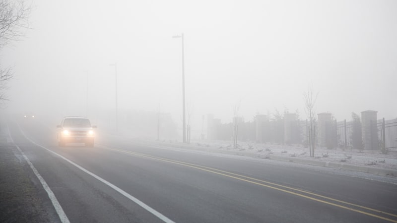 Rizikový podzim na silnicích začíná. Expert vyjmenoval tři věci, na které si dát pozor