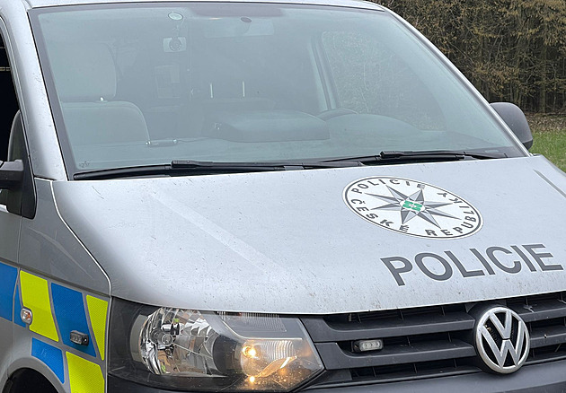 Nebezpečný muž vyskočil z okna a utekl z Bohnic. Policie ho našla a vrátila zpět