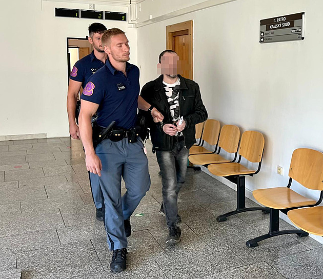 Za vraždu svého pětiletého syna a otce dostal muž doživotí v detenčním zařízení