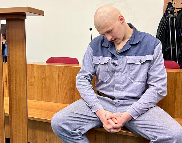 Podřízl svého psa, vykopal mu hrob. Hrůzný čin u soudu mladík přiznal, ale nevysvětlil