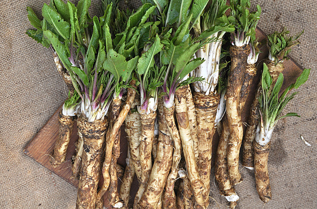 Sklízejte, uskladňujte, množte, vysazujte. Říjnové práce na zahradě zahřejí