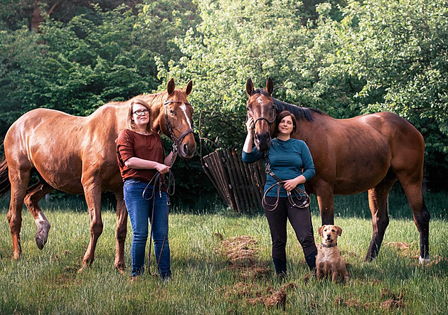 Zažívací problémy i záněty. Veterinářky se o první víkendové službě nezastavily