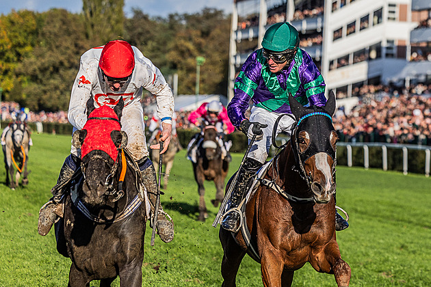 Stejně musíte bafnout vidle a zase makat. Faltejsek a Myška o pomíjivosti vítězství