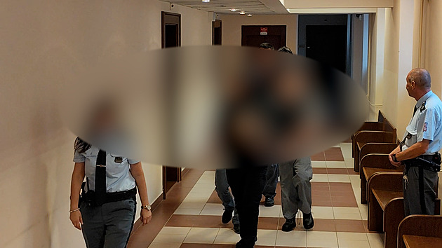 Šestnáctiletého mladíka soudí za vraždy prodavaček. Přivedla ho ozbrojená eskorta