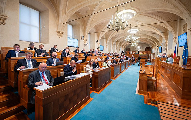 Senát schvaluje prezidentovy kandidáty Bartoně a Smolka do Ústavního soudu