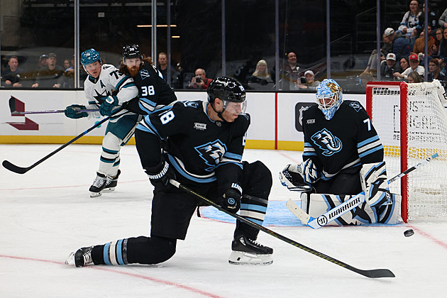 Vejmelka slavil s Utahem další výhru, Hronek asistoval za Vancouver