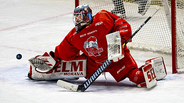 ONLINE: Litvínov doma vede, lídr zvyšuje nad Budějovicemi. Pardubice prohrávají