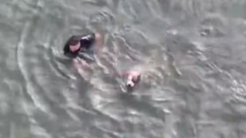 Policista neváhal a z ledového oceánu zachránil zraněného psa, ukazuje video. Hrdinství odmítá