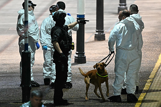 Útok nožem v britském vlaku: jednoho z podezřelých policie propustila