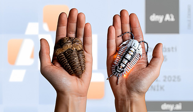 Konference, přednáška i detektivní příběh. Liberec hostí AI festival