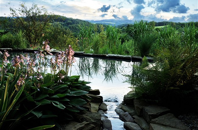 Připravte zahradní jezírko na zimu. Ochraňte ryby i techniku