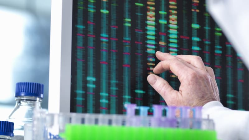 Převratná léčba vysokého cholesterolu? Úprava genu by mohla nahradit léky, tvrdí vědci