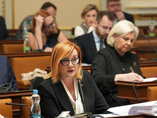 ANO, SPD a Motoristé chtějí jiný rozpočet. Jako tygr v masně, míní Stanjura