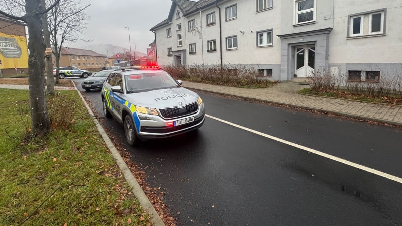Razie na Chomutovsku: V bytovce našli zbraně a munici, na místě je pyrotechnik