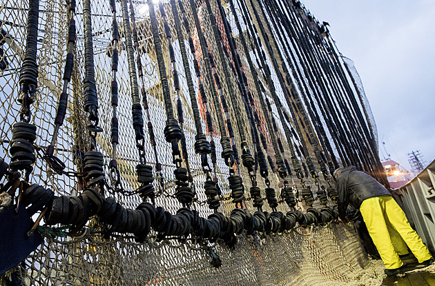 Číňané loví v Perském zálivu ryby pomocí elektřiny. Záznam zneklidnil pozorovatele