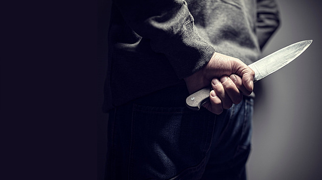 Vražda na Frýdecko-Místecku. Útok psychicky nemocného muže nepřežila žena a pes