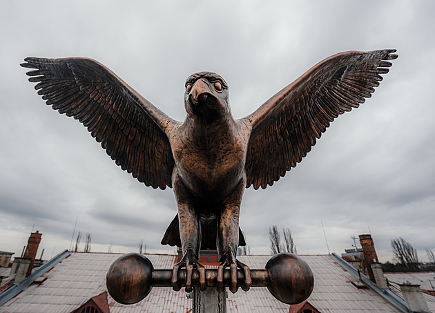 Na nuselskou tělocvičnu se vrátil měděný sokol. Původního rozstříleli nacisté
