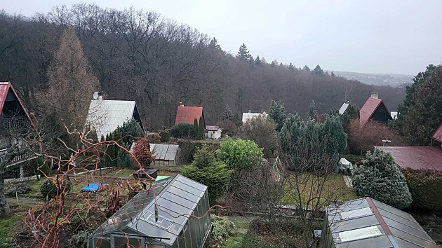 Chatová oblast jako pojítko? Kvůli ztracenému chlapci zadrželi muže ze sousedství