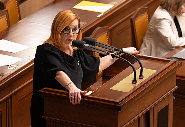 Schodek 310 miliard prošel. Je protizákonný, říká opozice. Vadí i Pavlovi