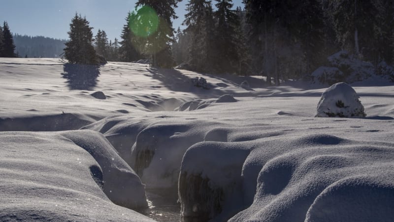 Šumava hlásí přes metr sněhu, jde o letošní rekord. MAPA ukazuje další bílé oblasti