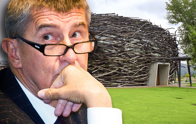 Začíná splácení ceny za koalici, řekl Haas. Výbor řeší kauzy Babiše a Okamury