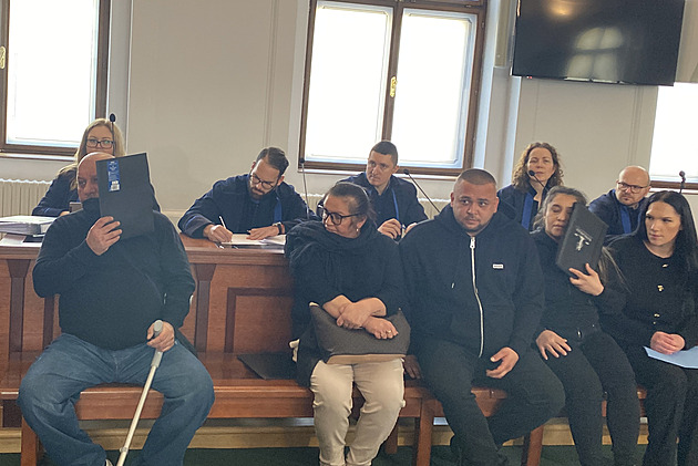 Nemocné štěně prodali, pak už je nešlo kontaktovat. Po gangu chtějí podvedení statisíce