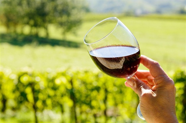 Pozor na toto víno. Inspektoři zakázali čtyři šarže, které prodávaly dva řetězce