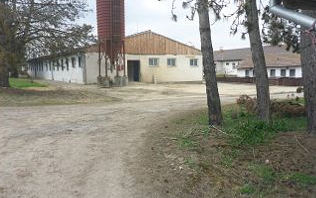 Zemědělské družstvo terčem zloděje. Zabil a odvezl tři prasata, ukradl i techniku