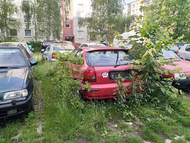 Vraky dál hyzdí ulice měst. Na sídlišti Máj v Budějovicích jich překáží šedesát