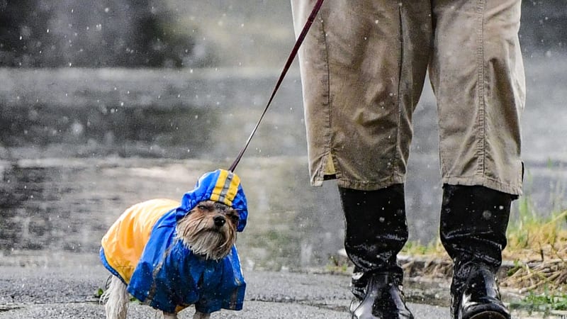 Do Česka vtrhnou bouřky a ochlazení, platí extrémní výstraha. RADAR ukazuje, jak bude u vás