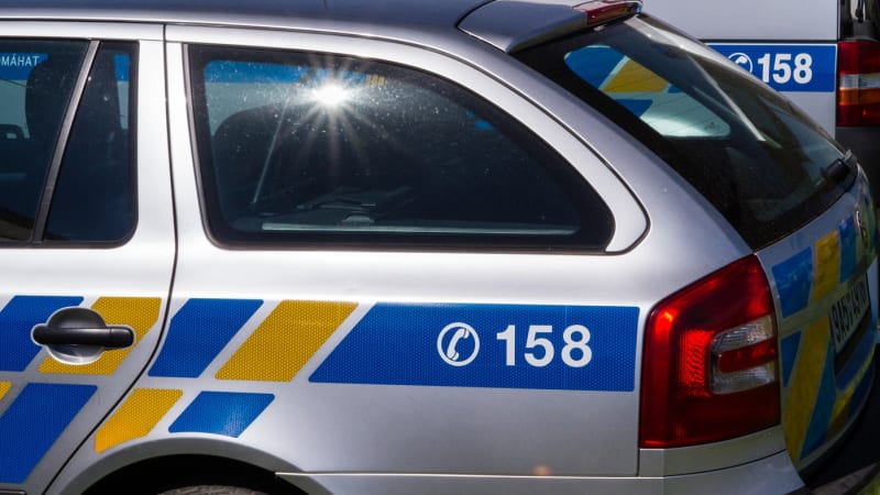 Dvanáctiletá dívka z psychiatrie v Opařanech se našla. Je v pořádku, uvedli policisté